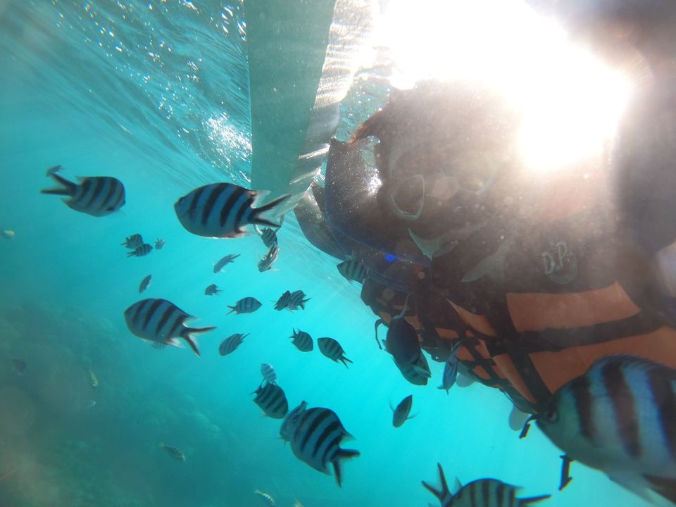 澎湖旅遊-浮潛加立式划槳(SUP)體驗